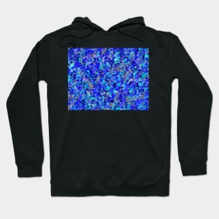 Blue dukani Hoodie